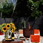 The West Barn Near Bath, Sleeps 24 And 2 Hot Tubs Holiday home *